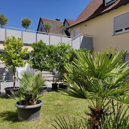 Haus Zum Schlosspark Veitshöchheim Zewnętrze zdjęcie